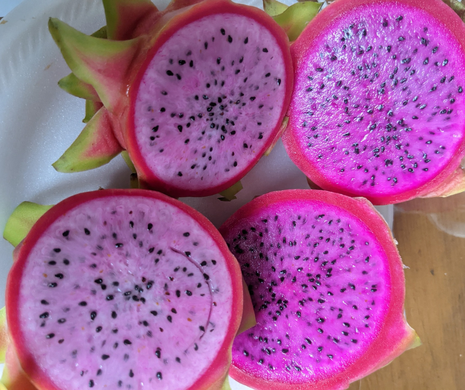 Dragon Fruit at Borderlands Produce Rescue