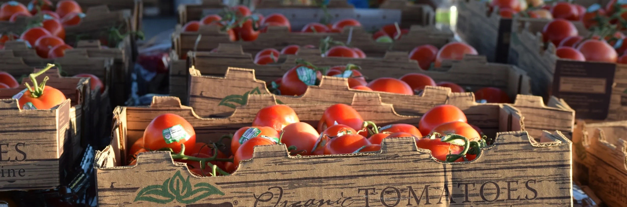 POWWOW produce in boxes