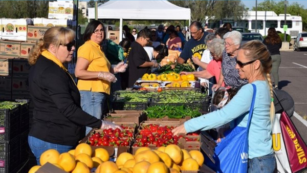 powwow farmers market